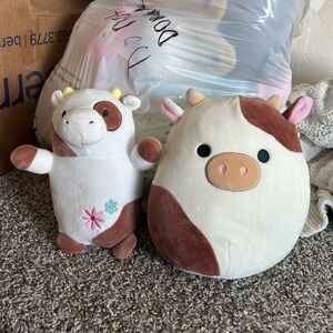 Ronnie Squishmallow Bundle